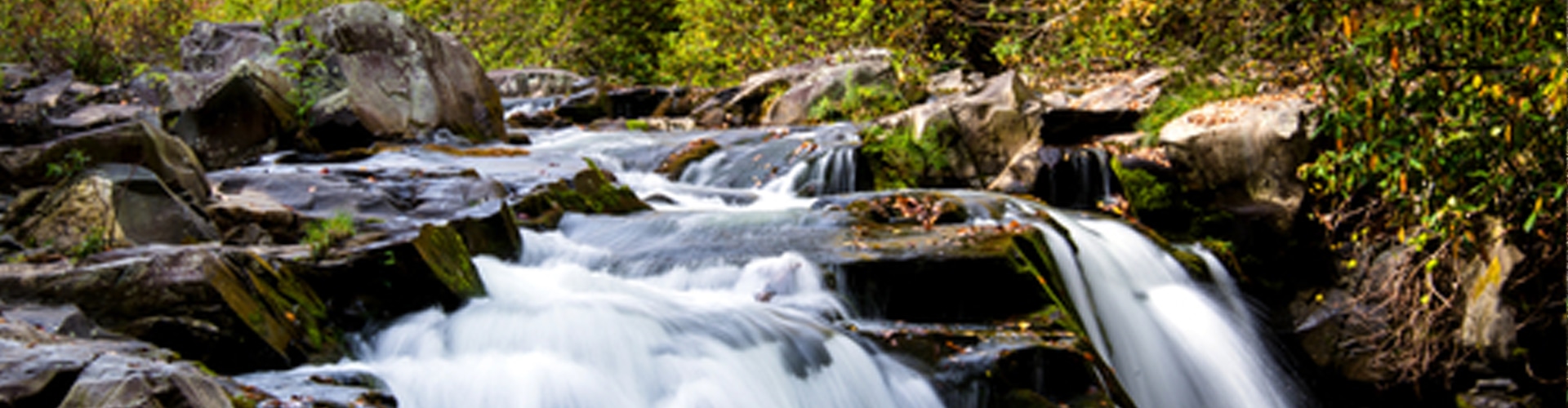 Bryson City, NC