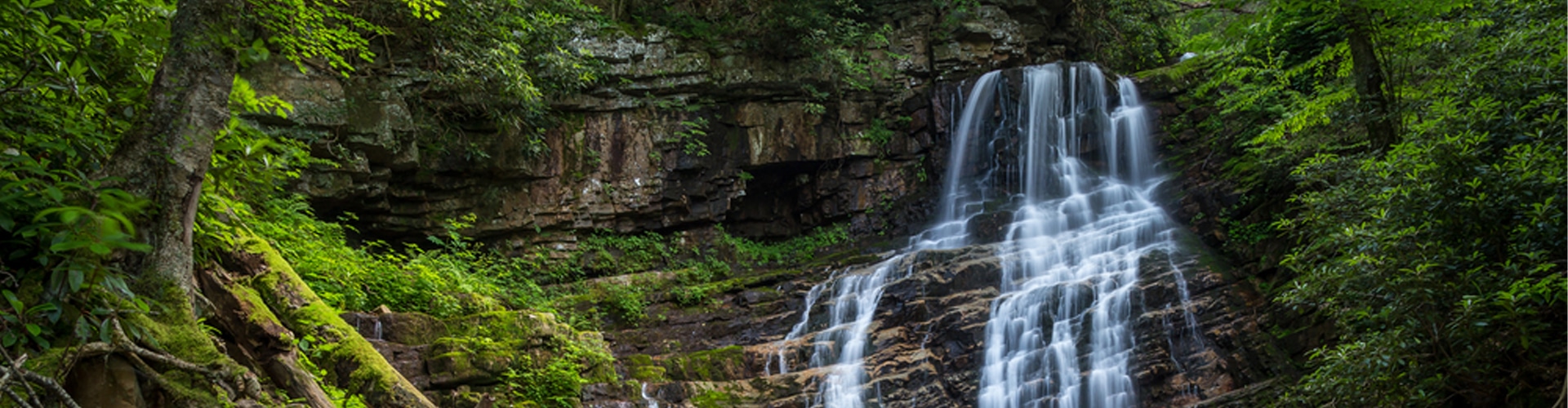 Greeneville, TN