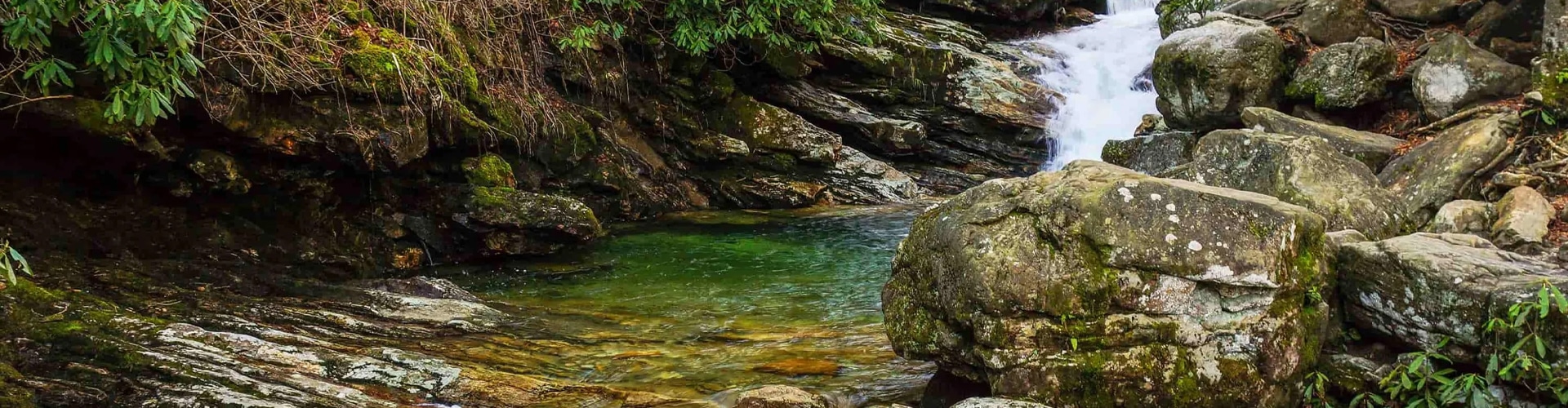 Waynesville, NC